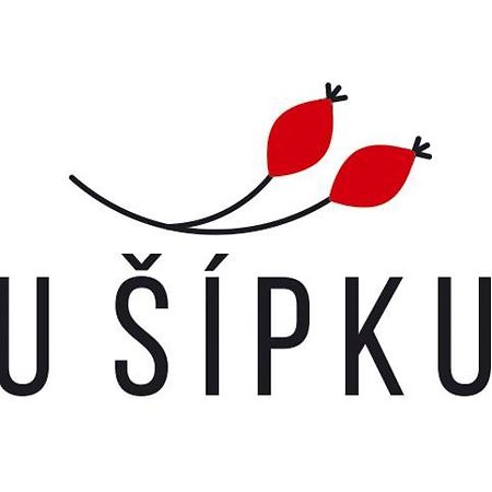 Dům U Šípku Krasna Lipa Exterior foto