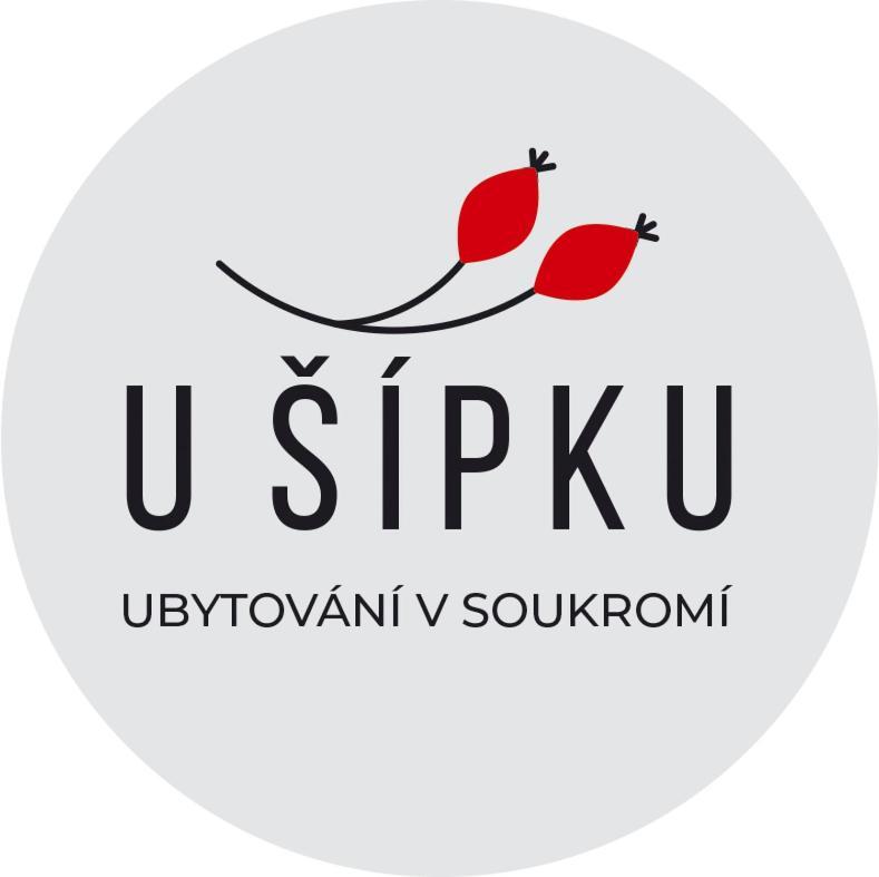 Dům U Šípku Krasna Lipa Exterior foto