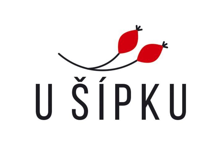 Dům U Šípku Krasna Lipa Exterior foto