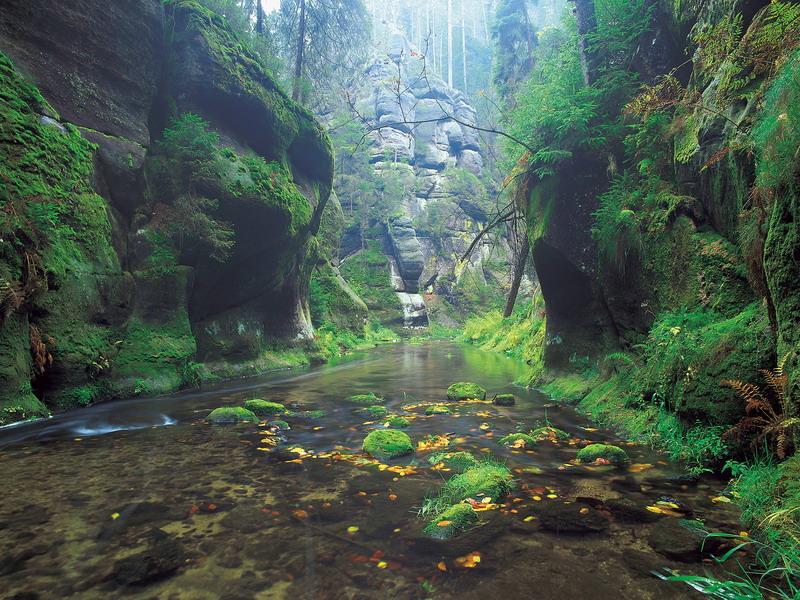 Dům U Šípku Krasna Lipa Exterior foto