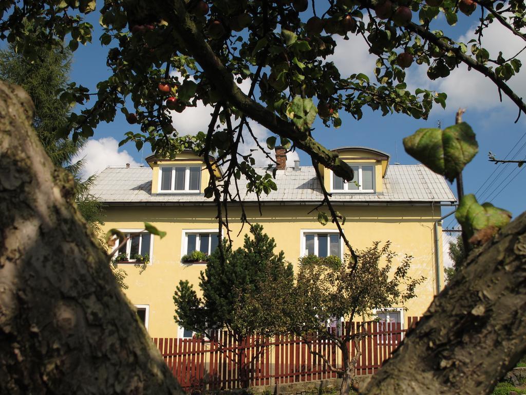 Dům U Šípku Krasna Lipa Exterior foto